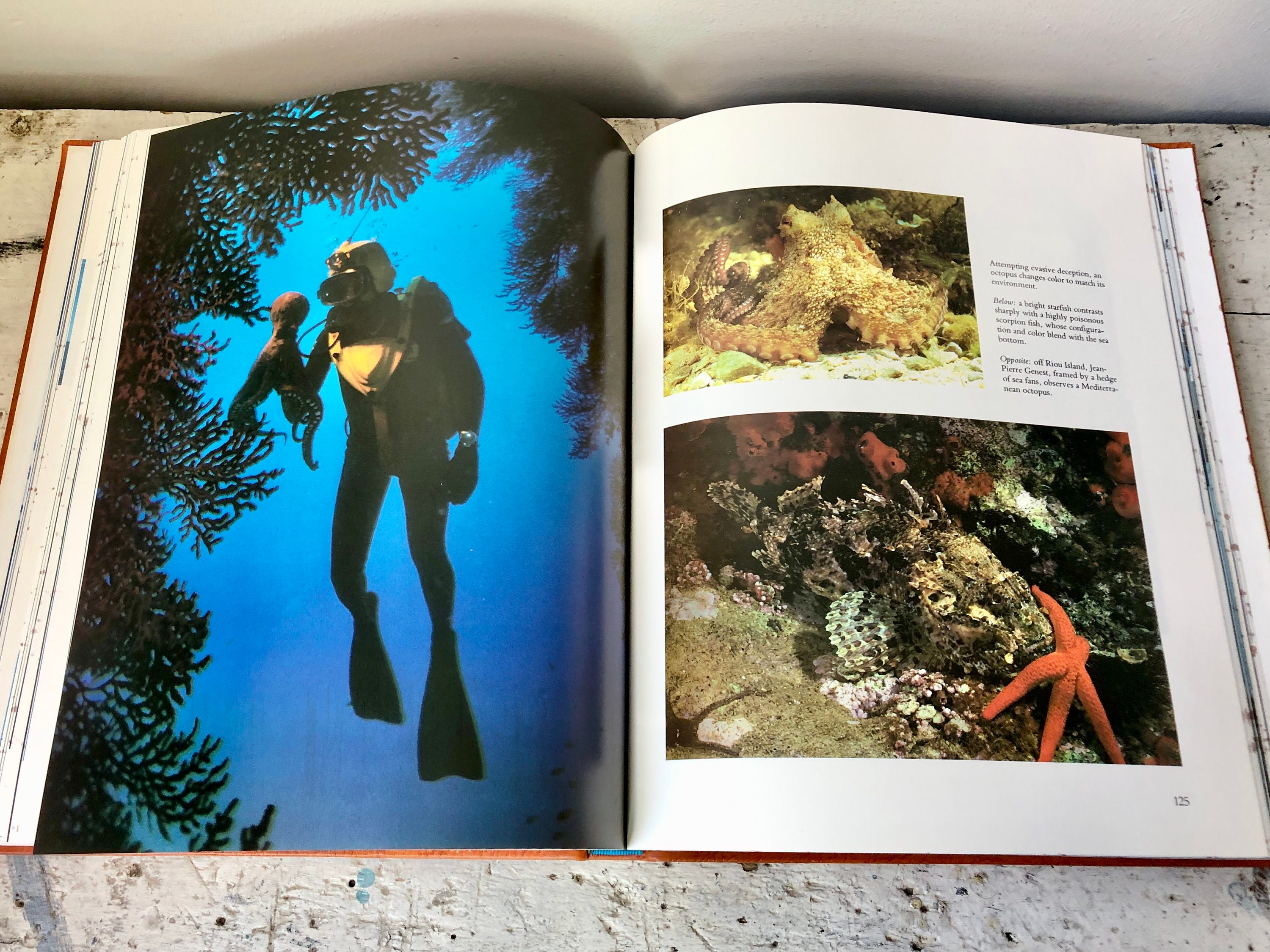 1983 Calypso by Jacques Cousteau and Alexis Sivirine 1983 Calypso by Jacques Cousteau and Alexis Sivirine