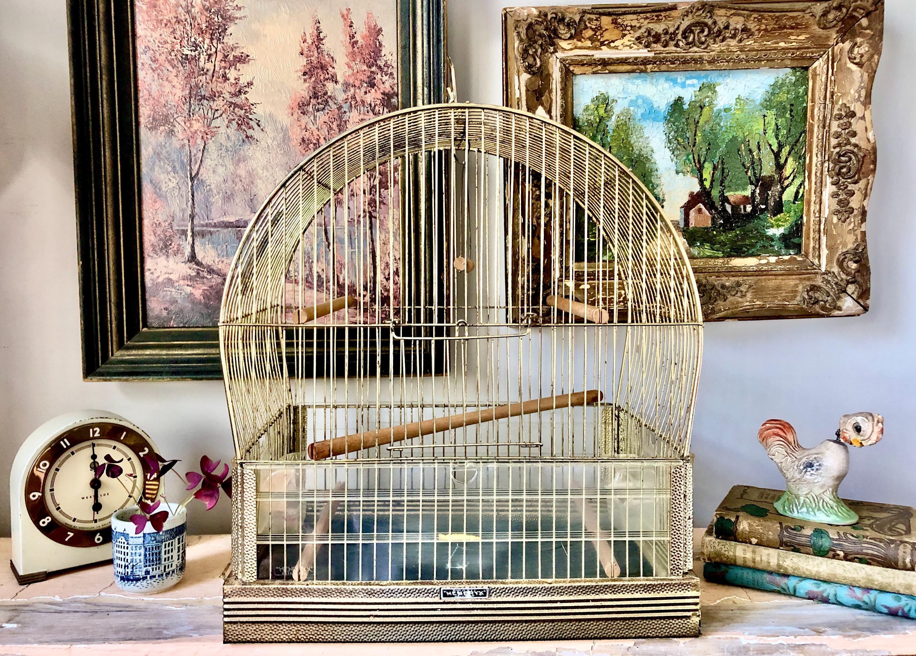 Buy Display Cage Online In India - Etsy India, image size:3000x2148