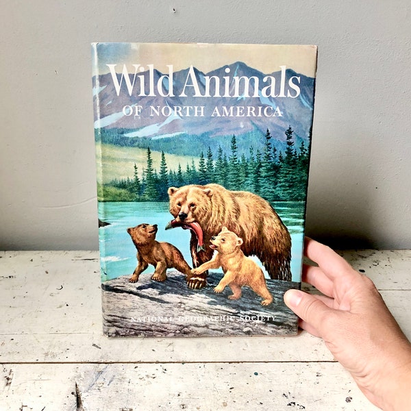 1960 Wild Animals of North America hardcover from National Geographic Society