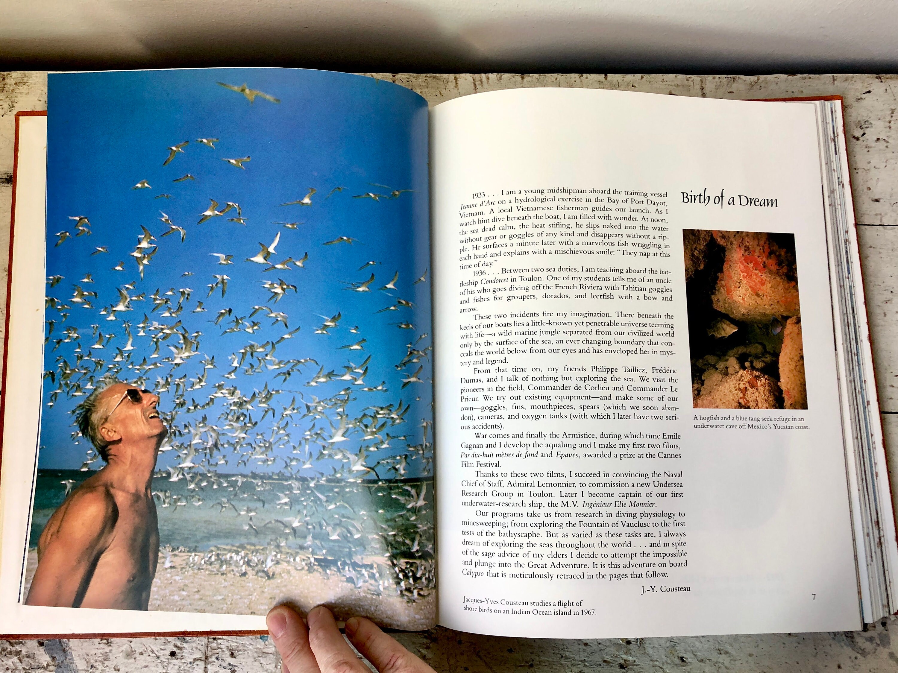 1983 Calypso by Jacques Cousteau and Alexis Sivirine 1983 Calypso by Jacques Cousteau and Alexis Sivirine