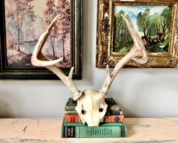 ヴィンテージ鹿ツノ