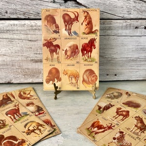 Tarjetas de juego de animales antiguas; 45 cartas en total