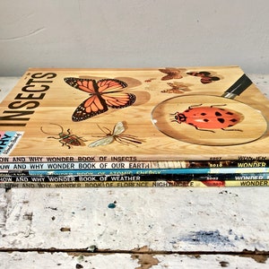 5 vintage How and Why Wonder Books; Florence Nightingale, Weather, Atomic Energy, Earth, Insects