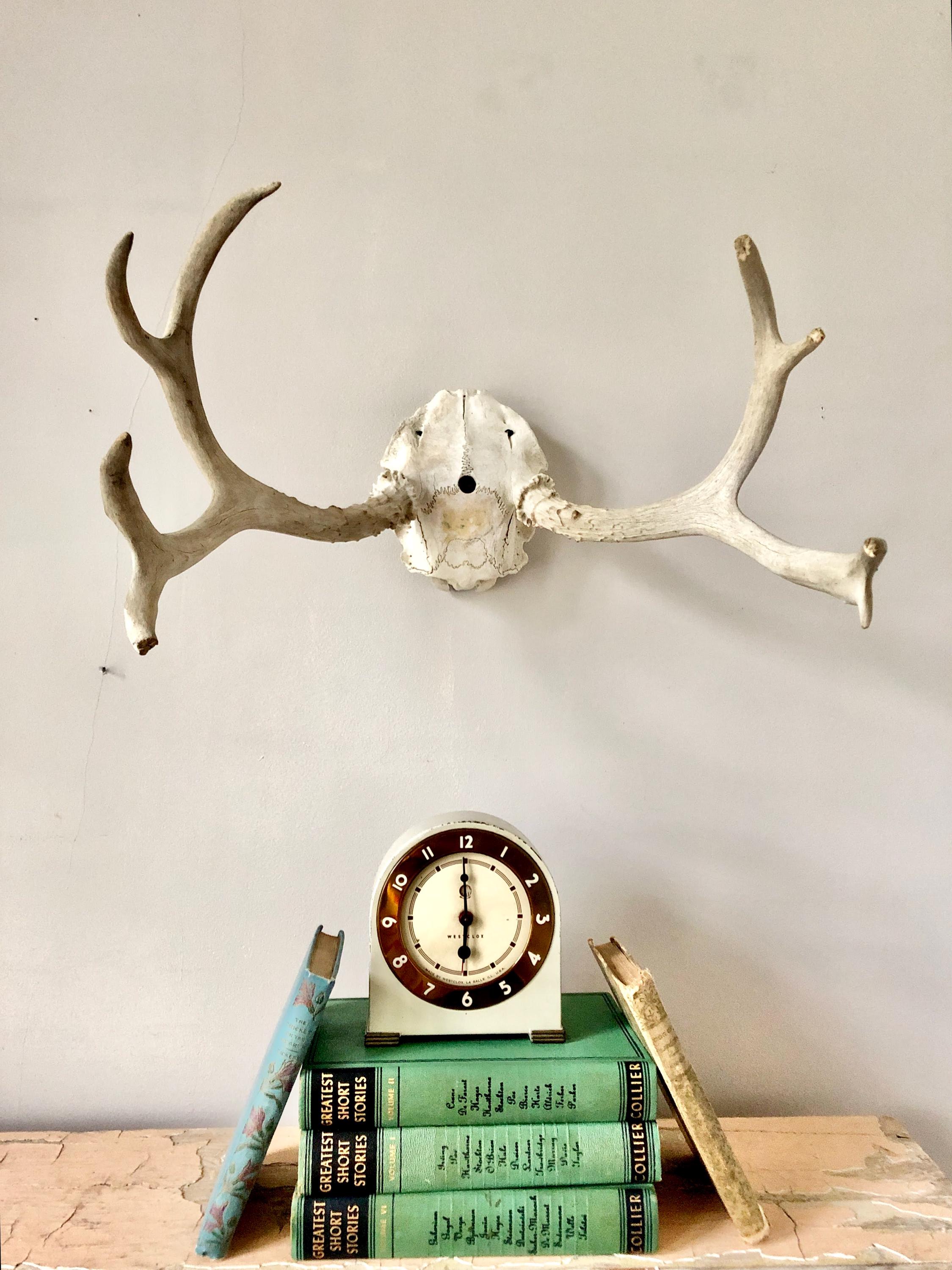 ヴィンテージの8角の鹿の角 - Etsy 日本