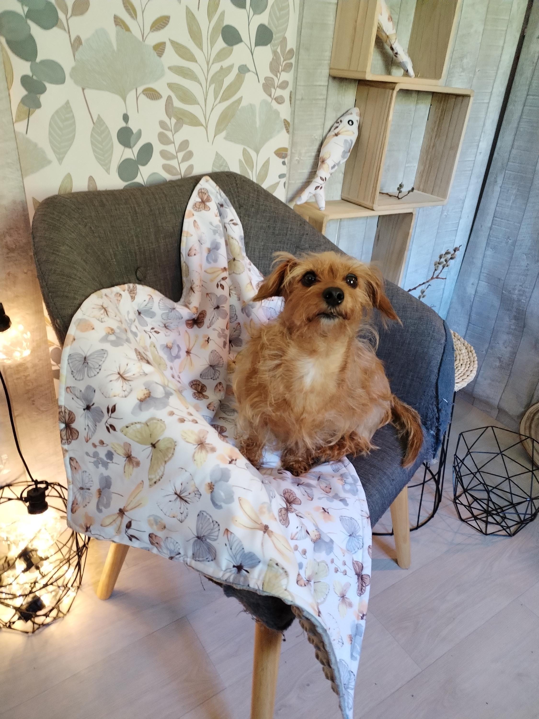 soft and warm minky blanket / throw for dog or cat