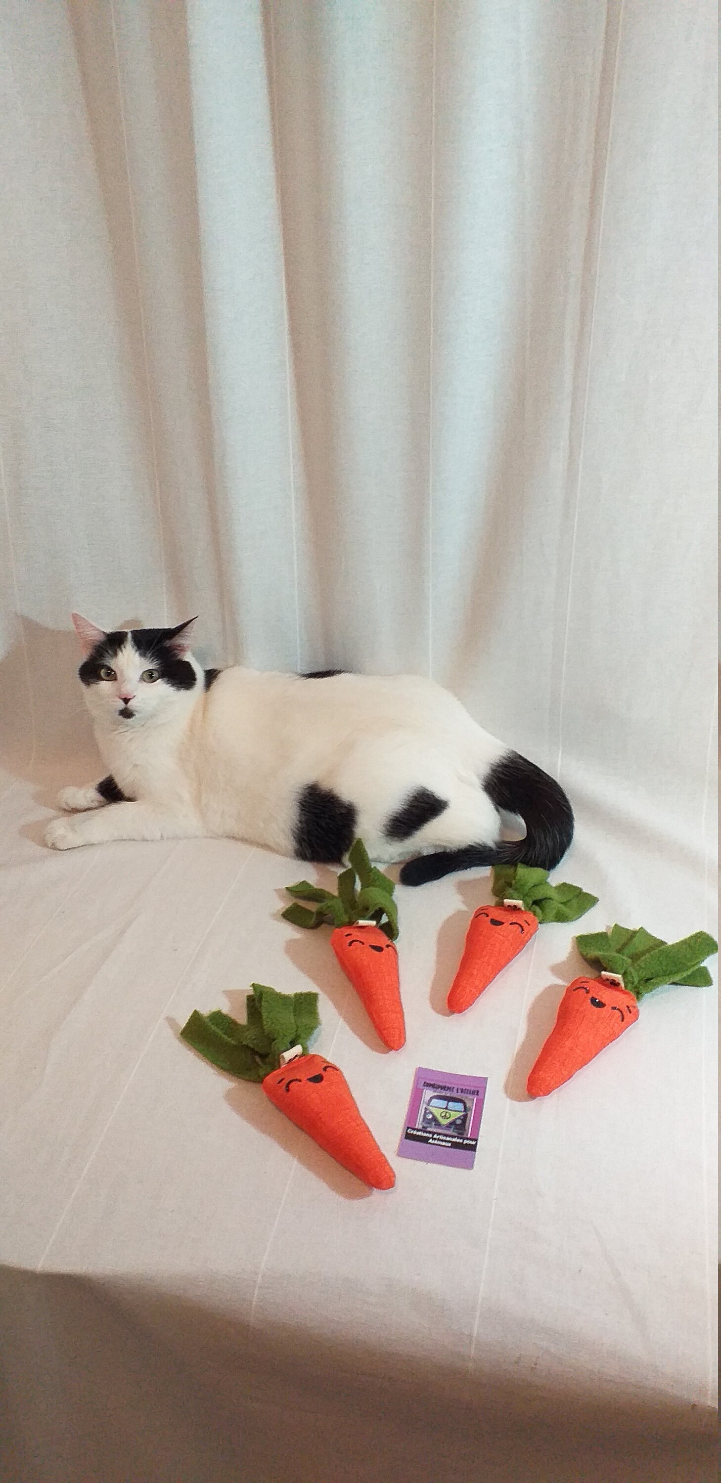 Jouet Carotte Pour Chat