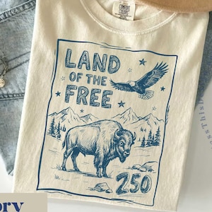 Comfort Colors Land of The Free 250 Shirt, USA 250 Vintage America Tee, 4th of July T Shirt, Retro Patriotic Graphic Tee / GBD2799