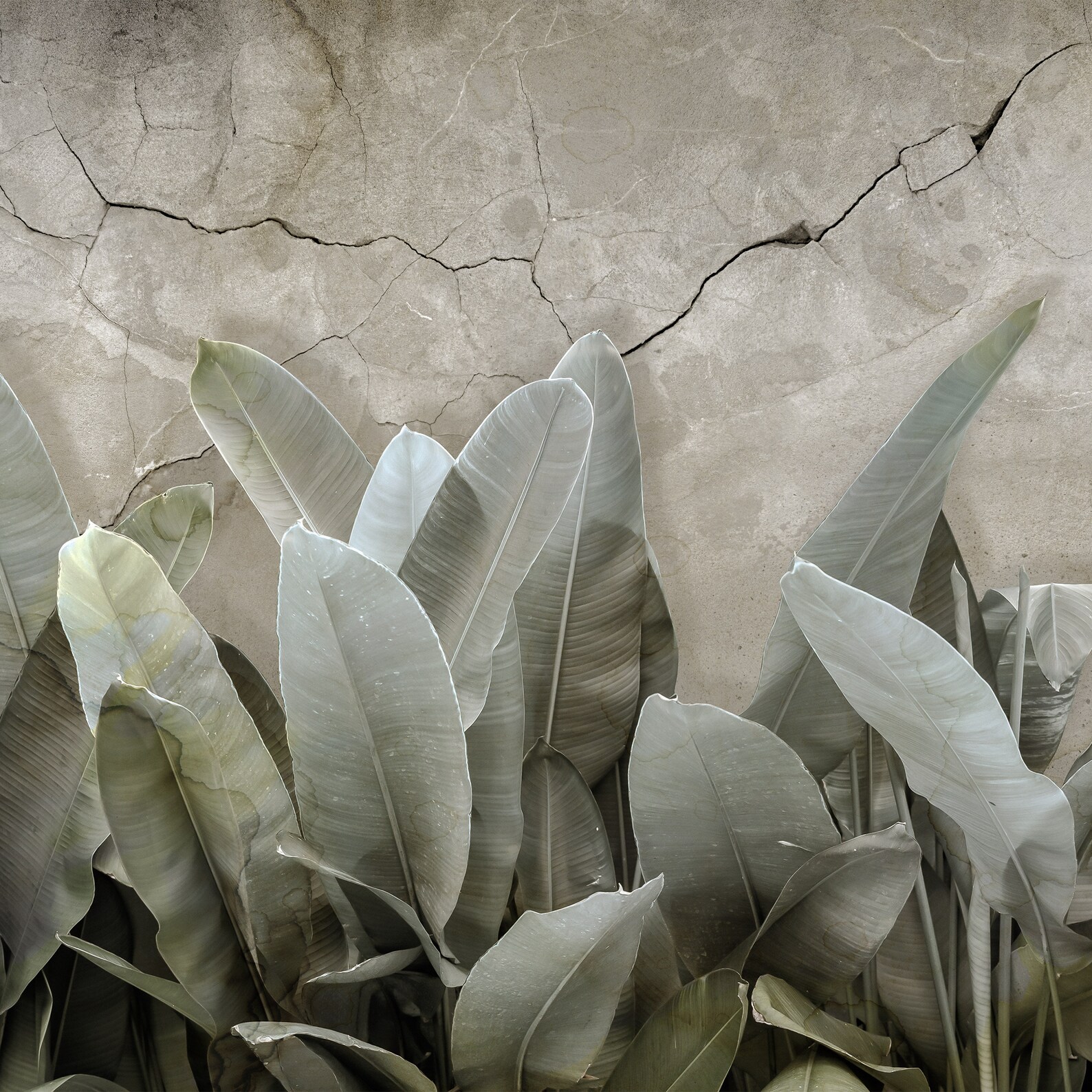 Pastel Leaves Wallpaper Pastel Colours Mural Botanical Etsy