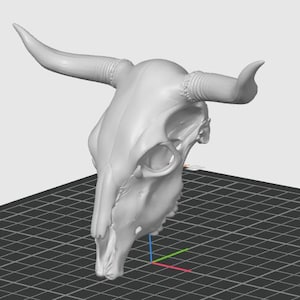Pode incluir: Uma representação 3D de um crânio de touro esbranquiçado com chifres proeminentes. O crânio é detalhado, mostrando as órbitas oculares, a cavidade nasal e os dentes. Os chifres curvam-se para fora e para cima. O crânio está sobre um fundo quadriculado.