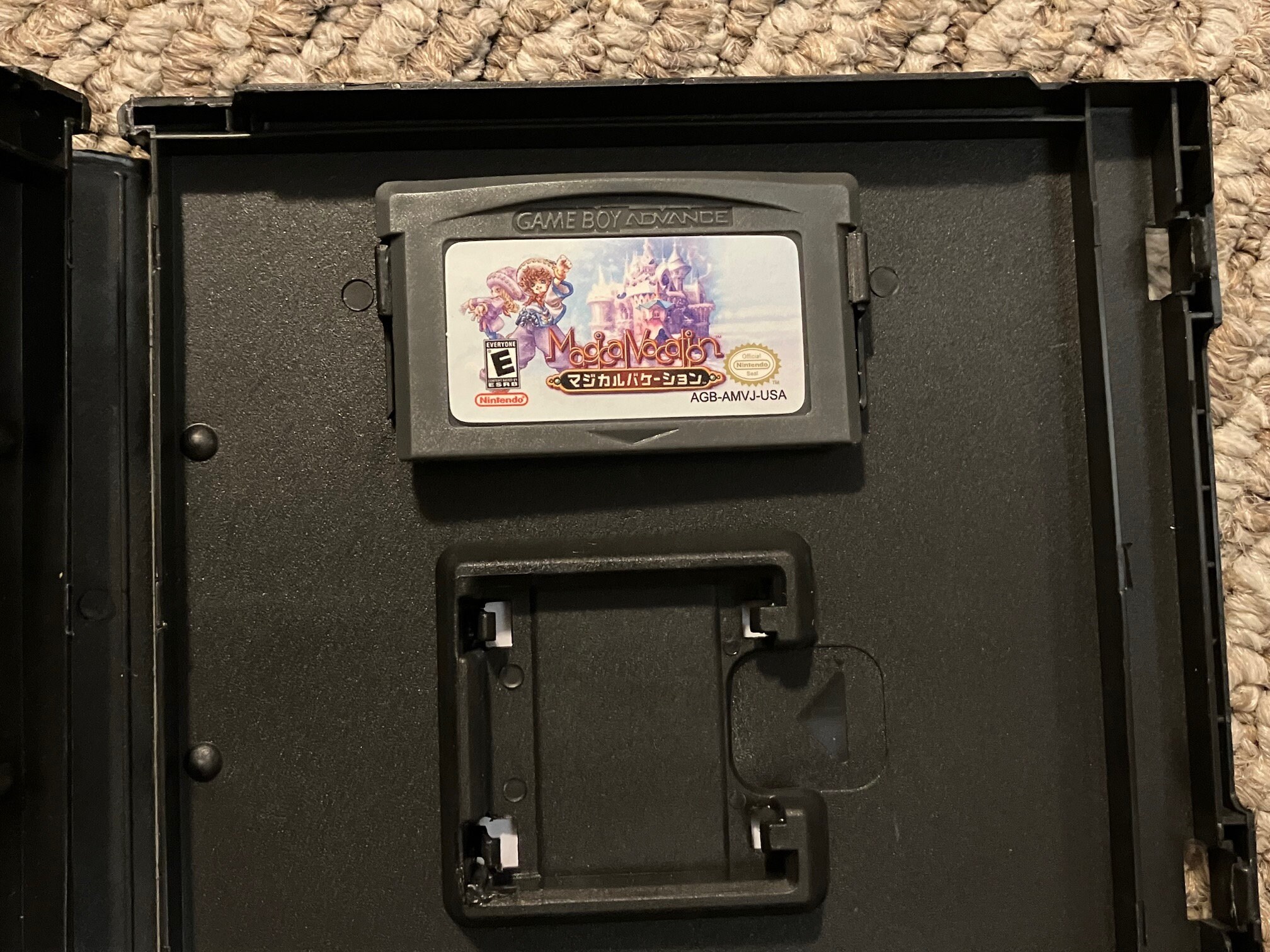 マジカルバケーション 任天堂 ゲームボーイアドバンス GBA