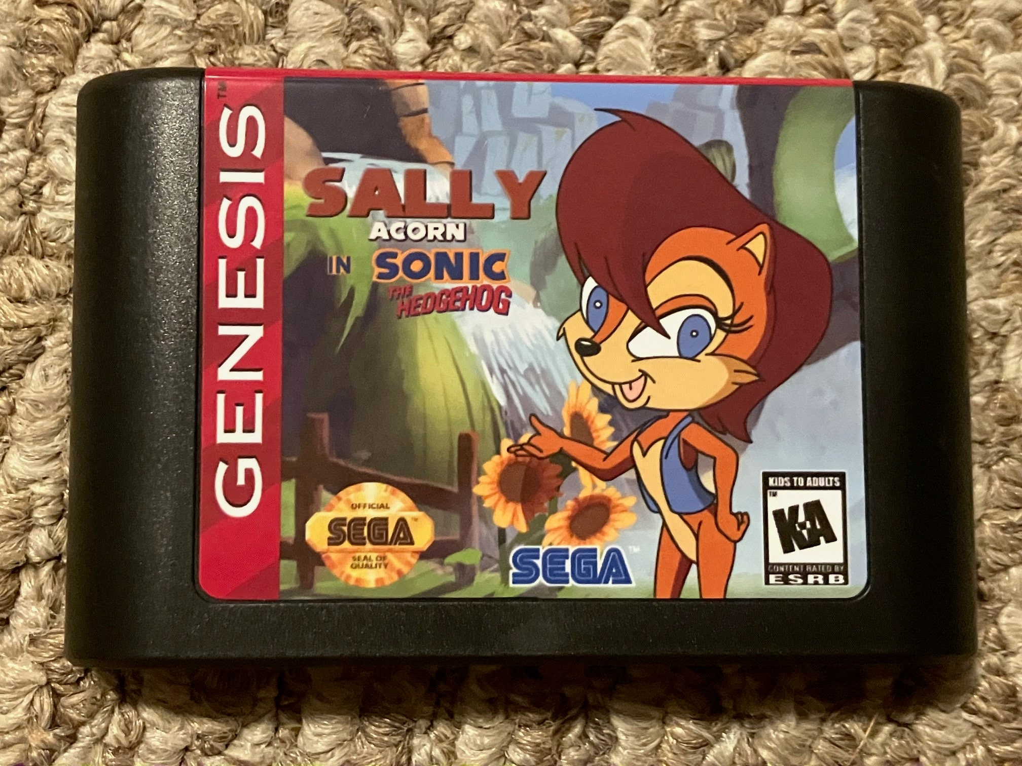 Sally Acorn in Sonic the Hedgehog 2 SEGA Genesis Mega Drive 