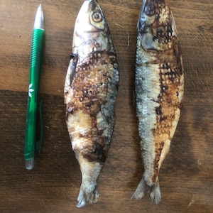 Sardine ganzer Fisch, 4 bis 5 + pro Packung dehydratisierter ganz natürlicher Leckerbissen für Haustiere