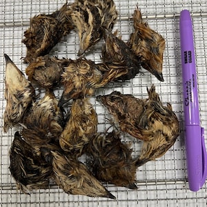 Quail Heads whole, Dehydrated All-Natural Pet Candy Treat