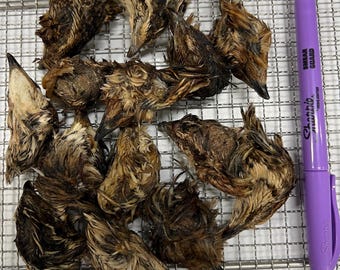 Golosinas para mascotas totalmente naturales y deshidratadas con cabezas de codorniz enteras