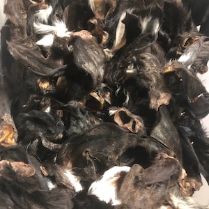 BEEF CALF Ears 10 pack, Dehydrated Hair on Treats Chews Bone Beef Cow Ear