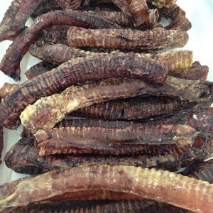 BEEF Trachea, Sizes Small to L, Dehydrated All-Natural Pet Candy Treat