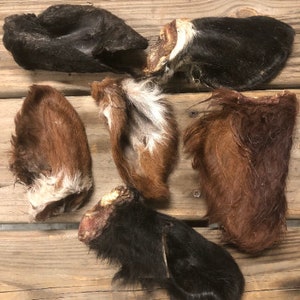 MIXED Dehydrated Ear, 25 Ear Pack, Hair on Treats Chews Bone Ear