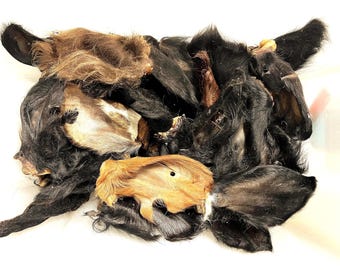 Orecchie di vitello da manzo, confezione sfusa da 125 pezzi, snack proteico disidratato, essiccate all'aria e pelose, con pelo, da masticare.