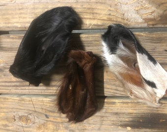 Hairy Ears Assorted, 5 piece or 10 pieces, Dehydrated, Cow Goat Lamb Ear