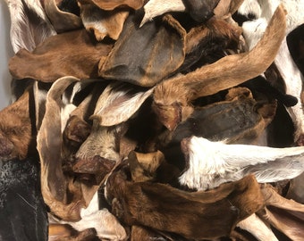 Orecchie di capra disidratate, confezione da 10, bocconcini da masticare con pelo, osso per orecchie