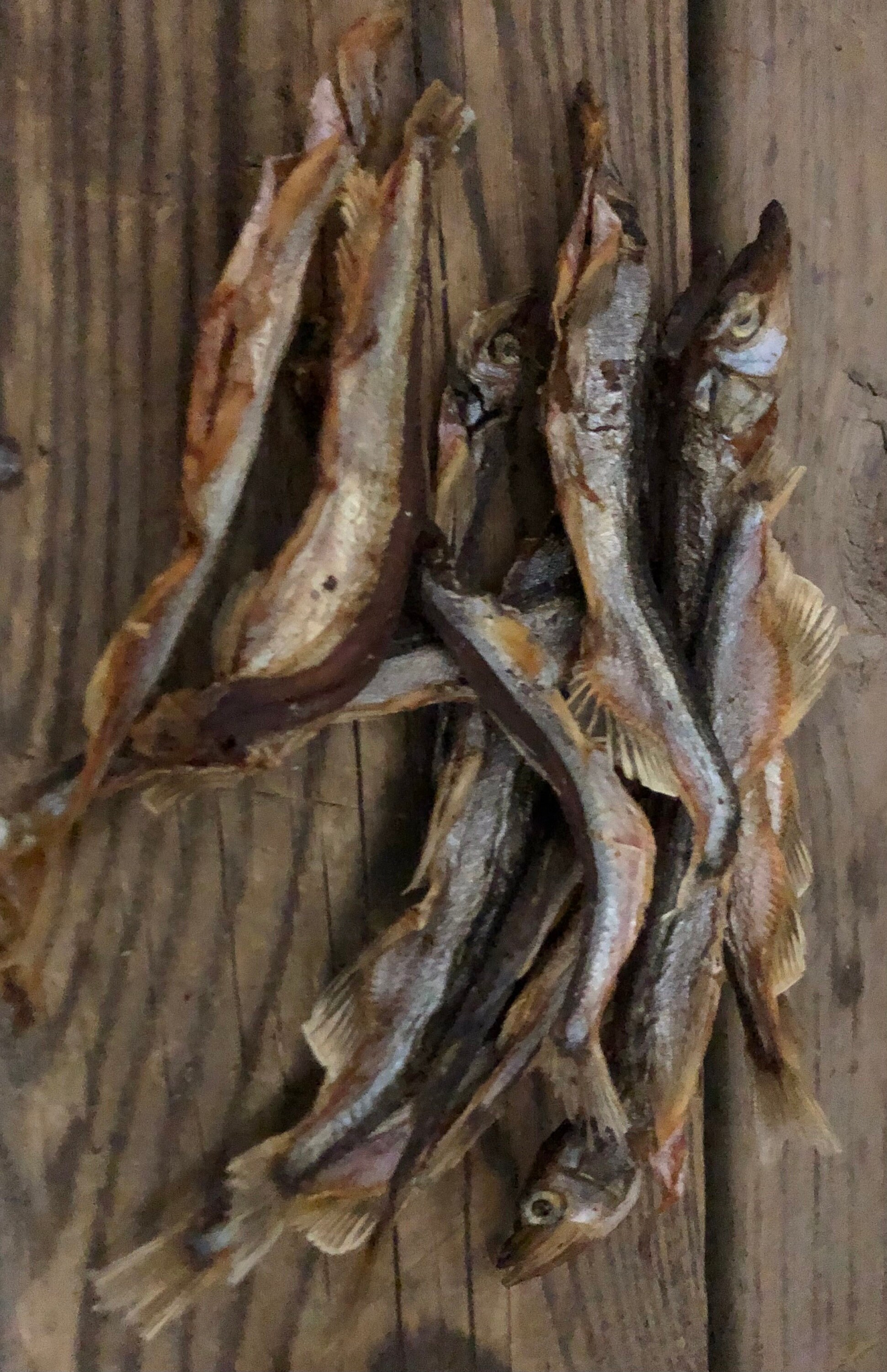 Capelin Fish 4 Oz Atlantic Dehydrated All-Natural Pet Candy Treat