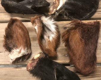 Beef Cow Ear, Hair on Treats Chews Bone Cow Ear