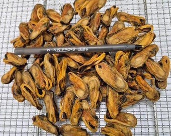 MUSSELS Green Lipped 4 oz bag New Zealand Mussels