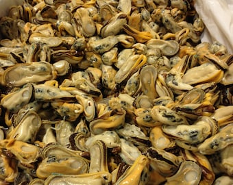 MEJILLONES Mejillones de labios verdes de Nueva Zelanda, bolsa de 283 g (10 oz)