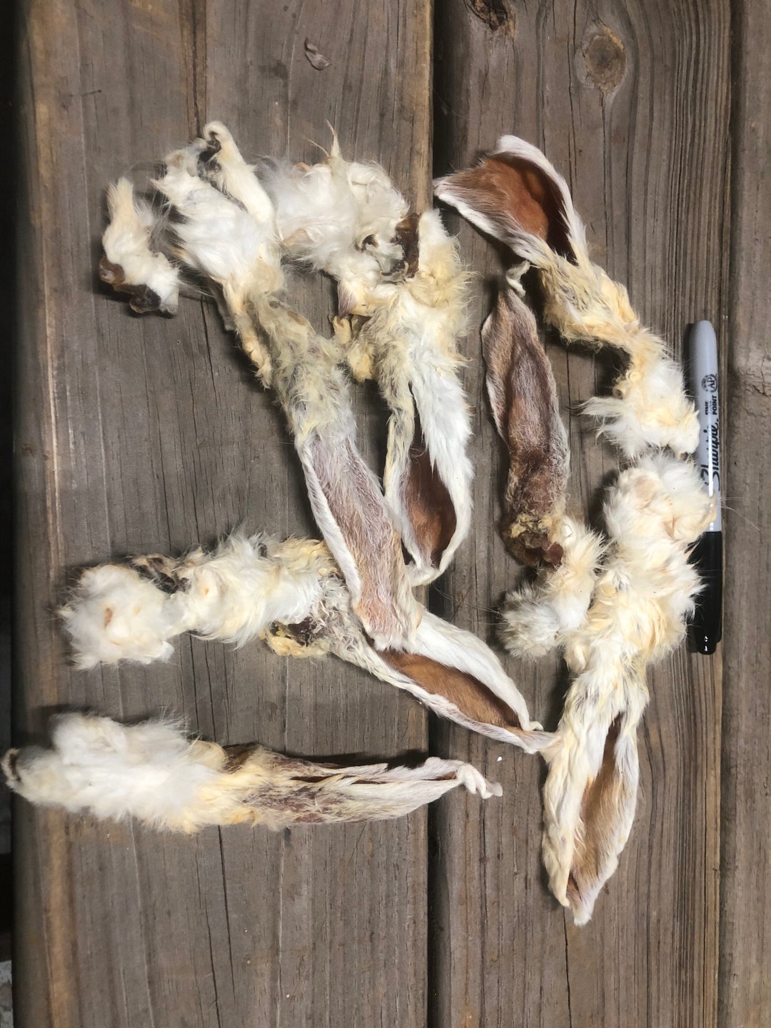 Rabbit Ears, Dehydrated 10 Pack, Hair on Treats Chews Bone Ear - Etsy