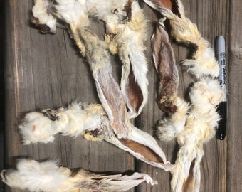 Rabbit Ears, Dehydrated 10 Pack, Hair on Treats Chews Bone Ear