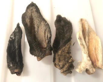 Lamb 25 Dehydrated Ears, Hair on Treats Chews Bone Ear