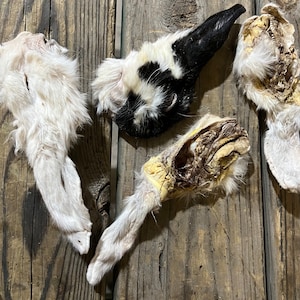 Rabbit HEAD, Half Head, 4 Pack, Freeze Dried Hair on Treats Chews Bone Ear
