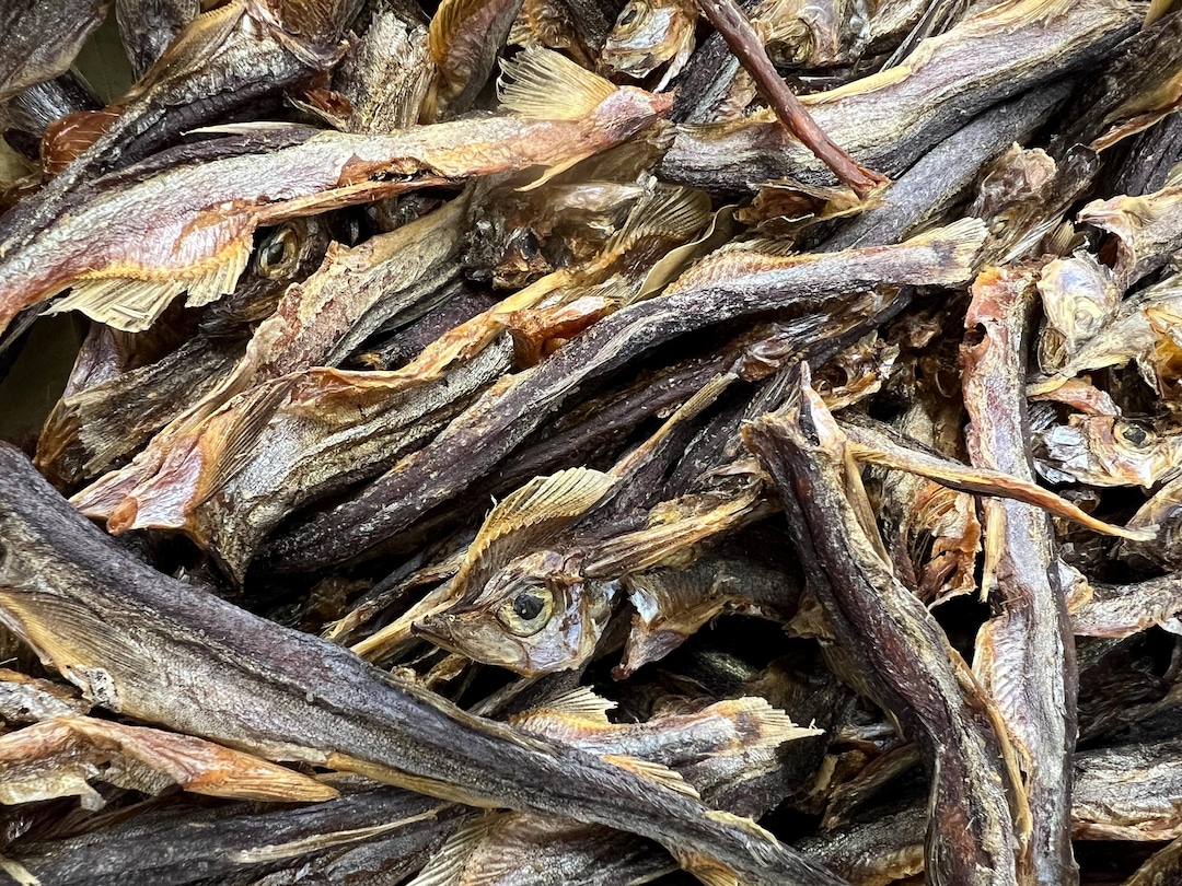 Capelin Fish Atlantic Large 10 Oz Bag Dehydrated All-natural Pet Candy ...
