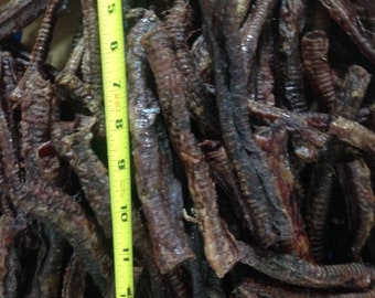 Trachea di AGNELLO, 12 pezzi di caramelle disidratate completamente naturali per animali domestici