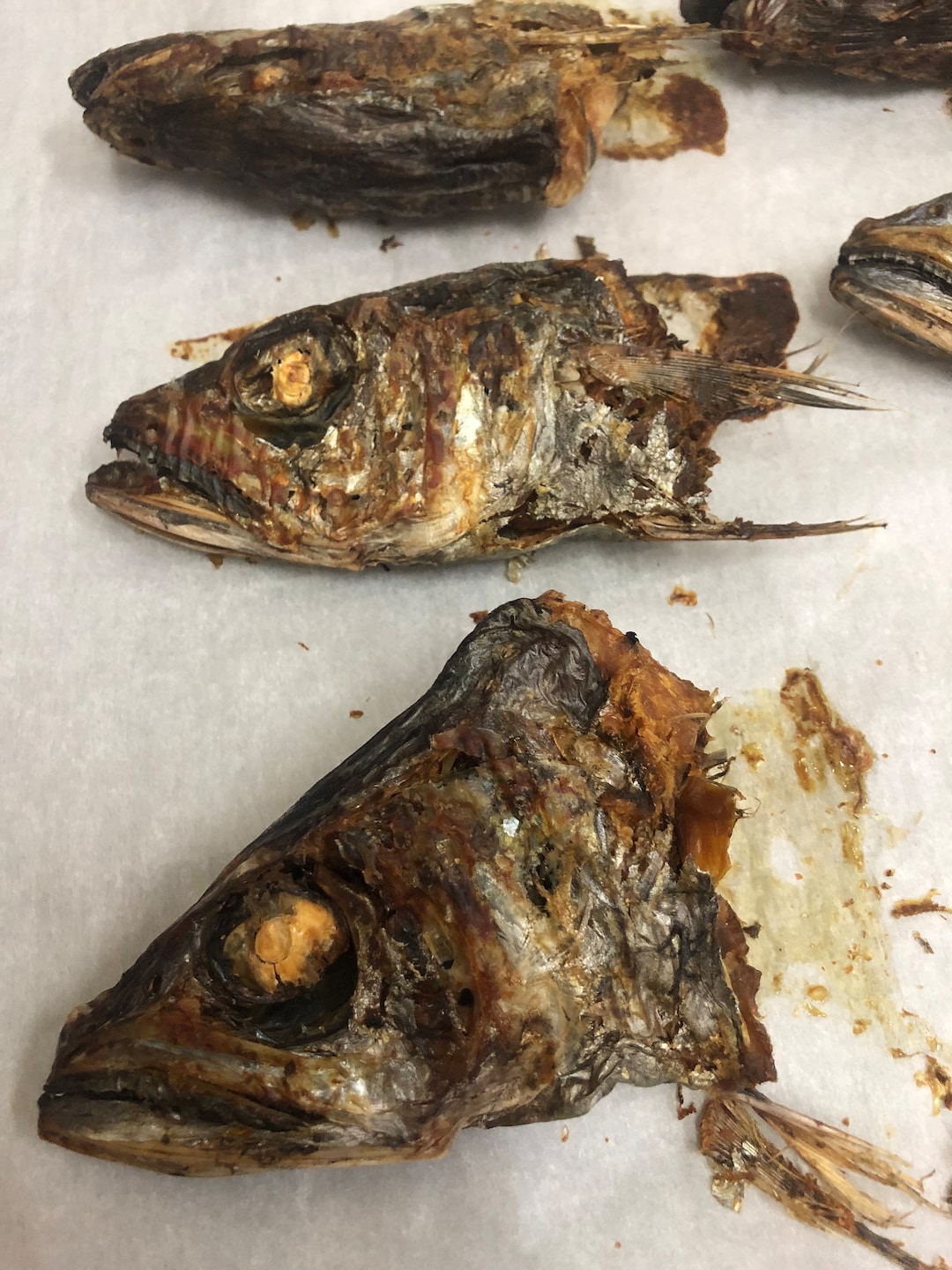 HOKI Fish Heads From New Zealand Whole 12 per Pack All-natural Pet