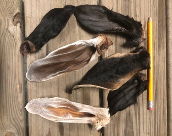 Goat Dehydrated Ears, 25, Hair on Treats Chews Bone Ear