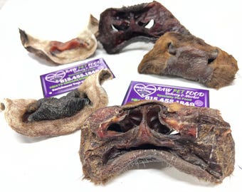 Beef Snouts, Dehydrated , 4 Pack, Hair on Treats Chews Bone Cow nose