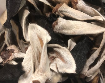 Lamb Dehydrated Ear, 10 Ear pack, Hair on Treats Chews