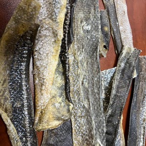 Puede incluir: Primer plano de trozos de piel de pescado seca. Las piezas var&iacute;an en tama&ntilde;o y forma, con una mezcla de colores beige claro, gris y negro. La textura parece &aacute;spera y escamosa, con algunas piezas que muestran la espina.