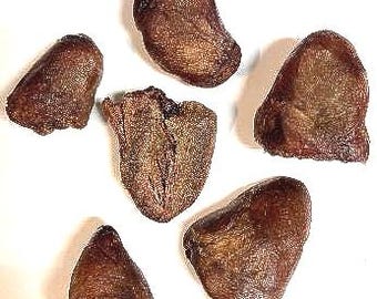 Turkey Heart 10 ounce bag, Freeze Dried All-Natural Pet Candy Treat