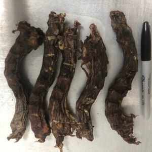 DUCK NECK, 8 pack Dehydrated All Natural Pet Candy Treat