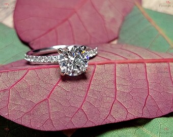 May include: A diamond engagement ring with a large, round-cut center stone and a band adorned with smaller diamonds. The ring is set against a backdrop of a red leaf with green leaves in the background. The ring is a symbol of love and commitment.