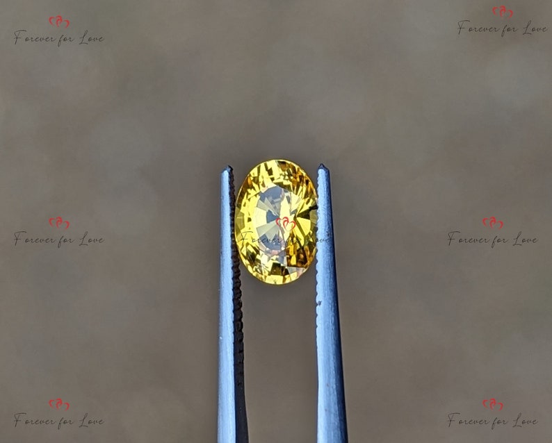 May include: A yellow oval gemstone held by tweezers. The gemstone has a slight golden hue.