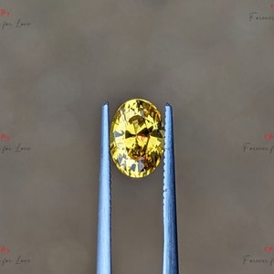 May include: A yellow oval gemstone held by tweezers. The gemstone has a faceted cut and is transparent.
