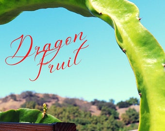 Dragon Fruit Cuttings - Your Choice