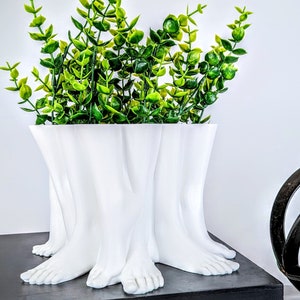 Puede incluir: Maceta de cerámica blanca con forma de cuatro patas, con una planta verde de hojas que crece desde la parte superior.