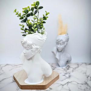 Può includere: Vaso da fiori in gesso bianco a forma di busto con una pianta verde frondosa al suo interno. Il busto è una donna con una fascia per capelli e si trova su una base esagonale in legno.