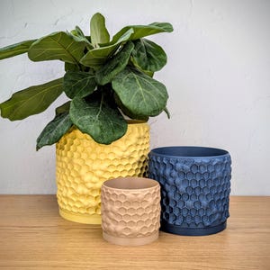 Puede incluir: Tres macetas cilíndricas con una textura hexagonal de panal en relieve en el exterior. La maceta más grande es amarilla y contiene una planta verde grande, la mediana es azul oscuro y la más pequeña es de color beige claro.