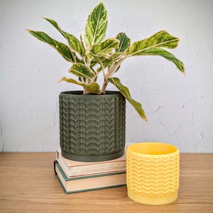 Puede incluir: Una maceta cilíndrica de color verde oliva oscuro con una textura repetitiva de hojas que contiene una planta de interior variegada en verde y crema, sobre una pila de dos libros junto a una maceta cilíndrica más pequeña de color amarillo brillante con patrón de chevrón.