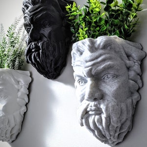 Zeus Wall Pot - Greek Head Face Planters - Greek God - Mythology - God of Thunder